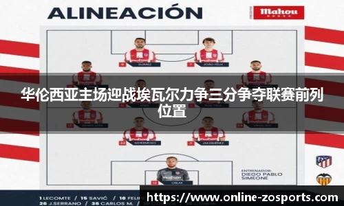中欧体育