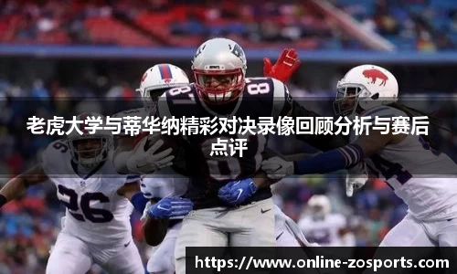 中欧体育官网